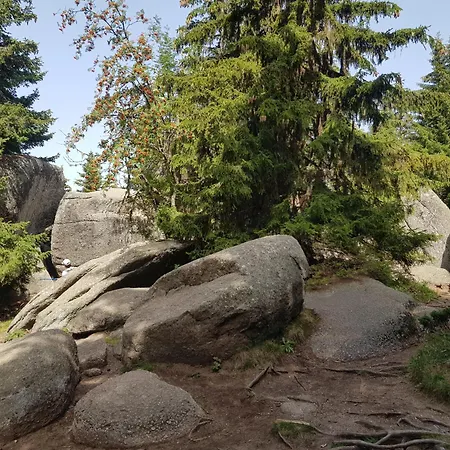 מלון דירות Hop Kop