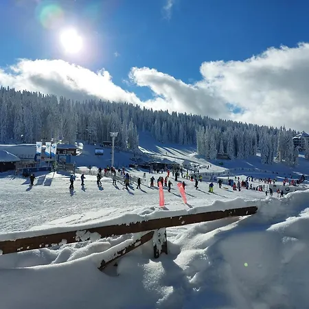 Hop Kop Kopaonik